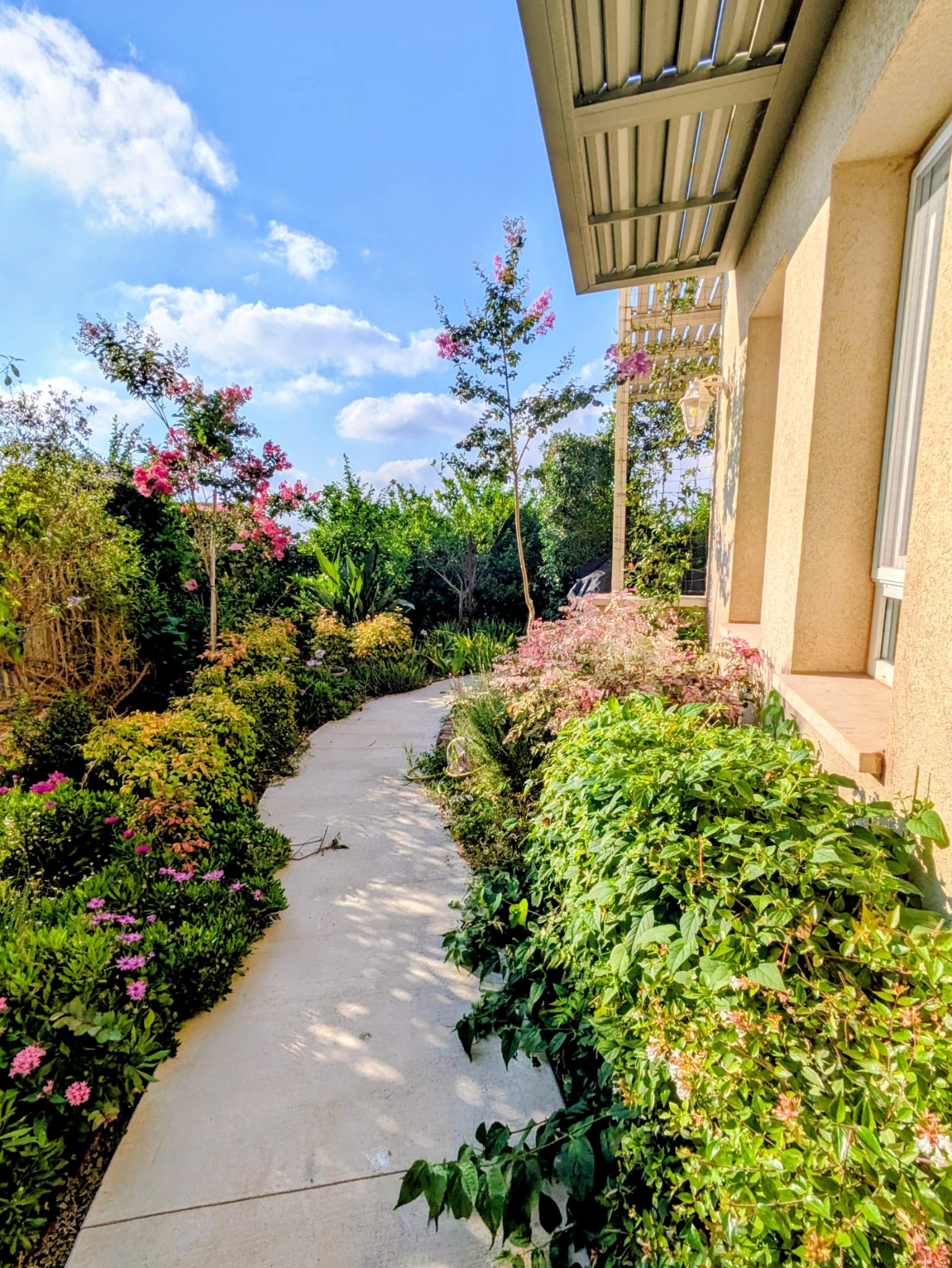 Lush Landscaped Garden
